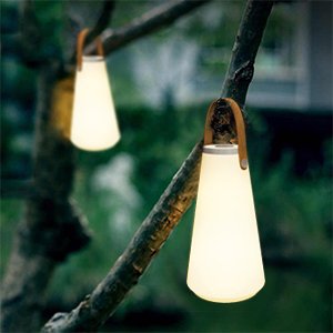 led portable lantern hanging from trees
