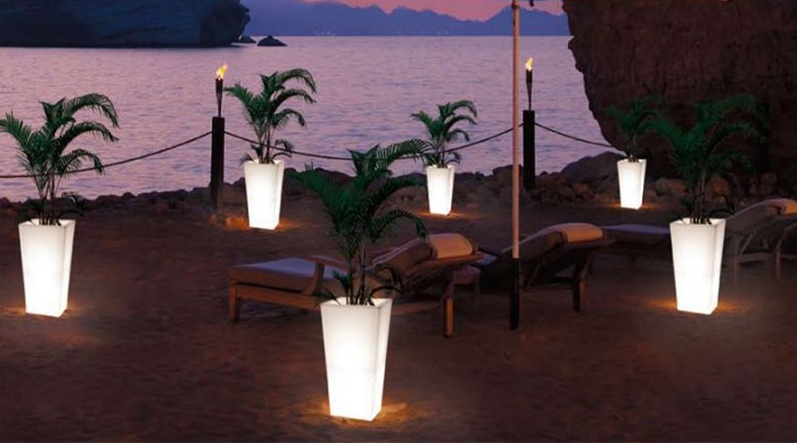 Light up the Night with Charming Light with Glow in the Dark Flower Pots