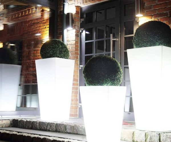 These Glow In the Dark Illuminated Planters Will Make Your