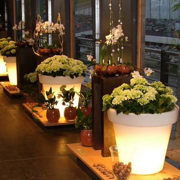 Illuminated flower pots