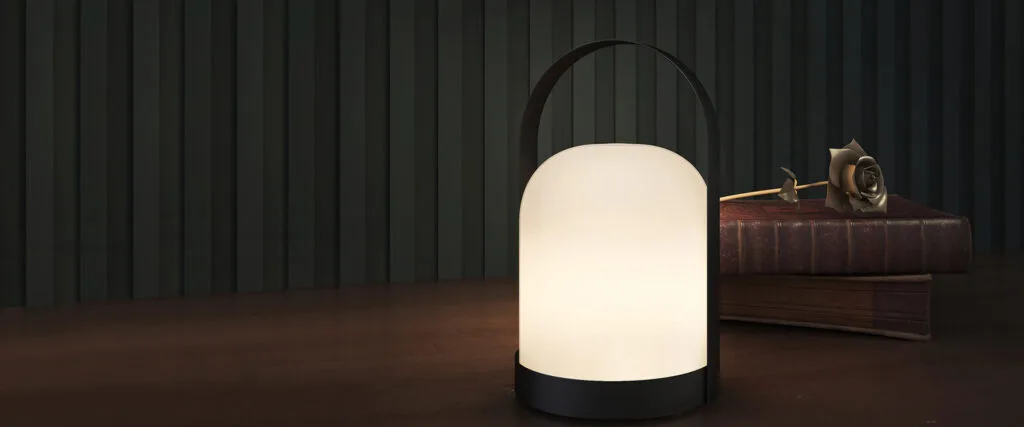 Bandera de luz led portátil de mano Colorfuldeco 2