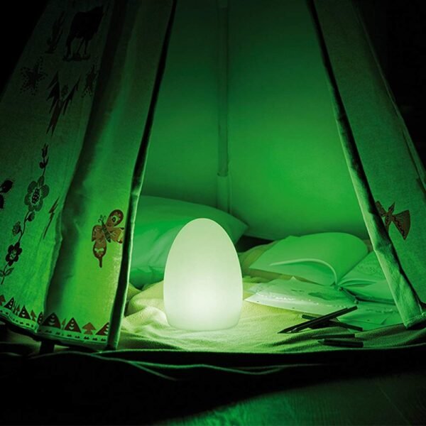 egg shaped lamp