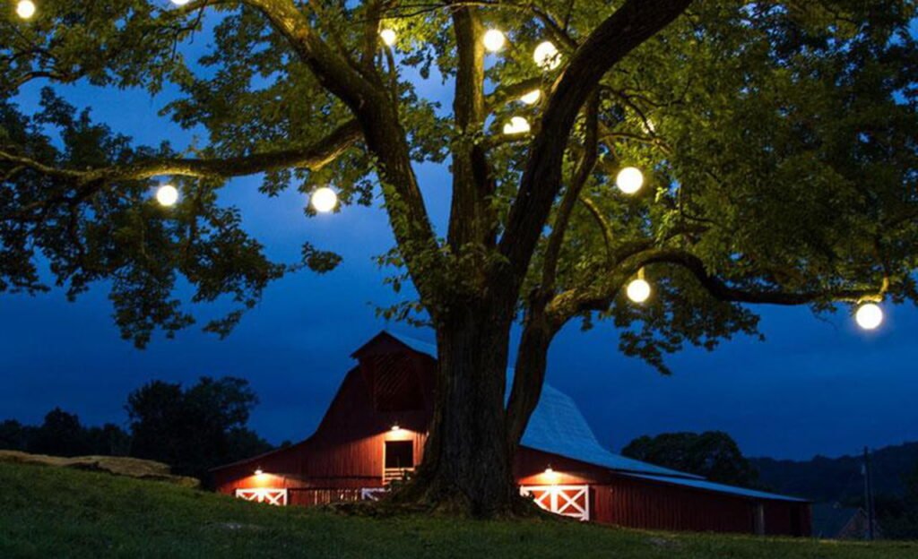 hanging led ball lamp on tree Colorfuldeco