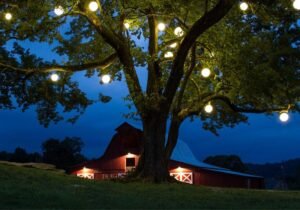 LED Glow Balls Bring Endless Fun to Your Space