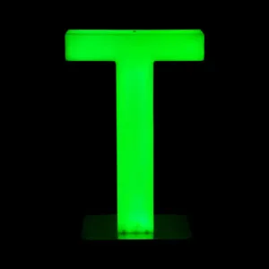 neon led letters T