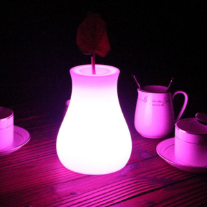 led light up flower vase