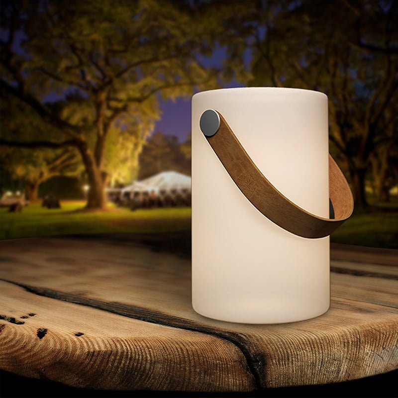 Portable Luminaire Lamps