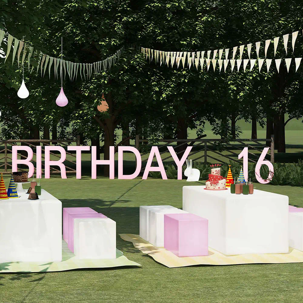 Birthday Party Furniture