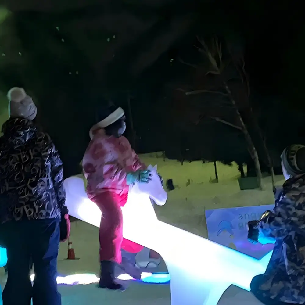 The horse-head shaped LED seesaw light game is perfect for children to play in the park on a winter night.