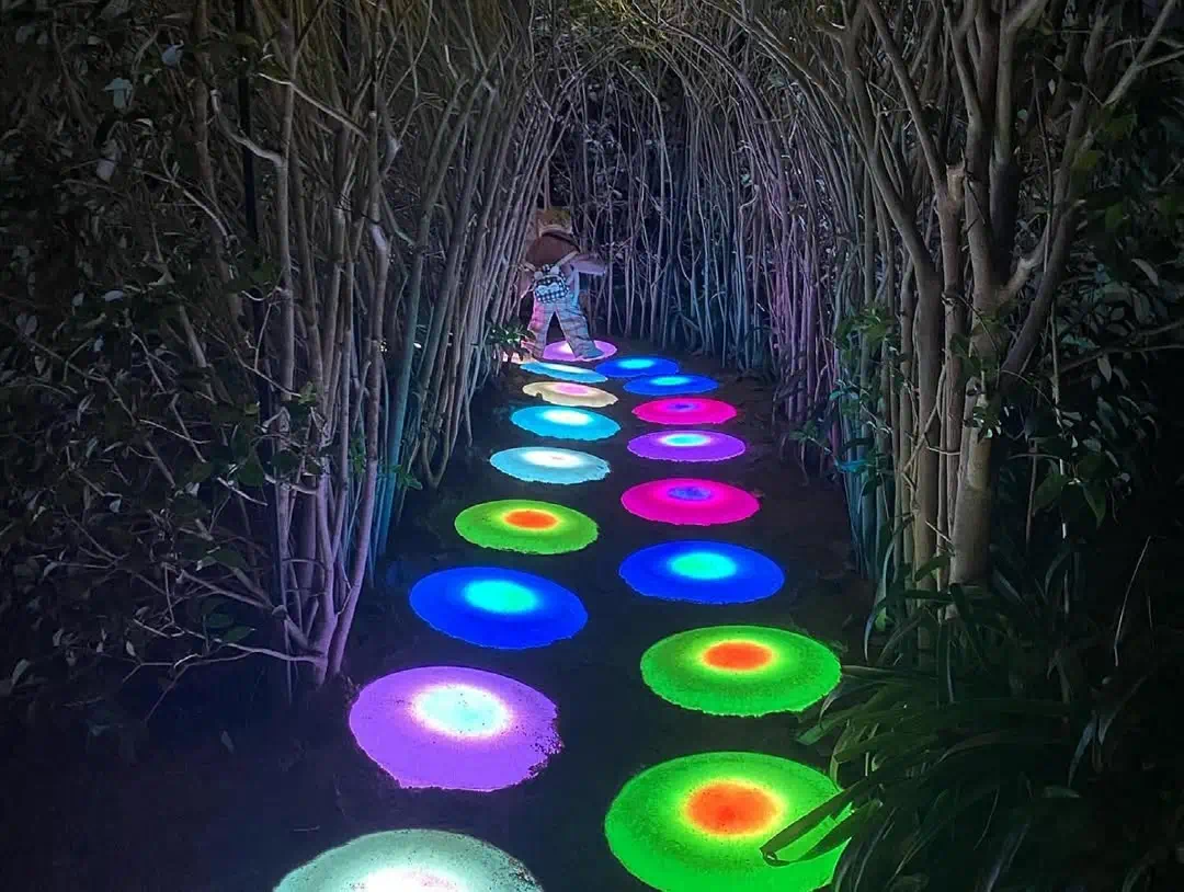 Child walking on mil risas LED outdoor furniture glowing floor tiles through tree tunnel at zoo light festival