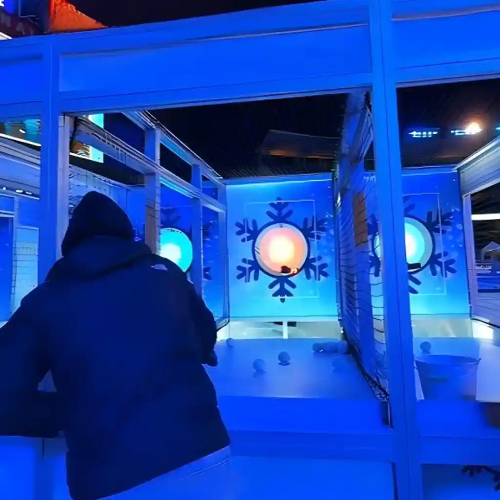 Commercial-grade-LED-target-wall-light-up-games-for-amusement-parks-and-winter-festiva